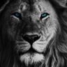 Enough is Enough's profile picture