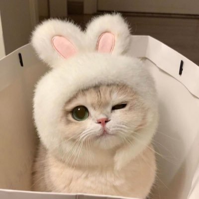 Cherbell's profile picture