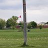 Desi Canadian's profile picture