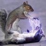 Profilbild von post