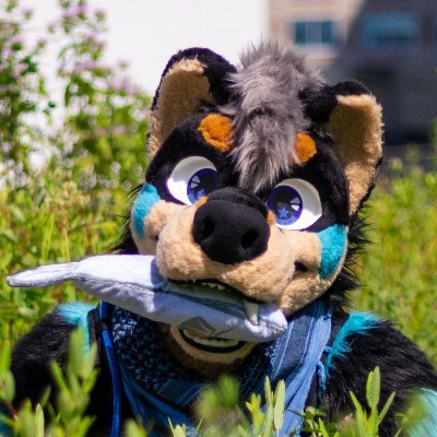 Kayne_Ein's profile picture