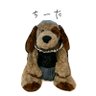 ちあき🐶DREAMERS's profile picture