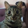 Profilbild von MunzeNexusfob