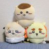 こーたく profil fotoğrafı