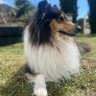 Profilbild von bpc