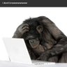 Pe profil fotoğrafı