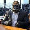WM Trades profil fotoğrafı