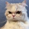 Profilbild von markmam