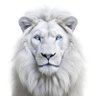 Gugu Ji's profile picture