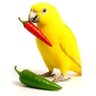 خبر ایکس's profile picture