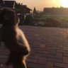 Hugo profil fotoğrafı