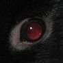 Profilbild von ?