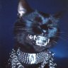 ♕☥ƬOᑌᑕℎ:ᗰƐ:ᑎOƬ☥♕'s profile picture
