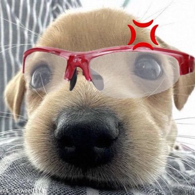 Kiaxkdlrjwm's profile picture