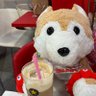 かずほし🍬🐶🐰🍩 profil fotoğrafı