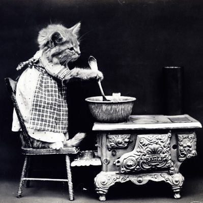 Cryptowushi's profile picture