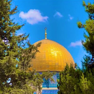 H A S A N 🇵🇸's profile picture