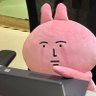 พิเบบ's profile picture