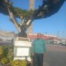 essam abouelmakarem profil fotoğrafı
