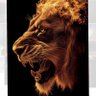 الضرغام الجحدلي's profile picture