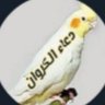 Фото профиля دعاء الكروان 🍒