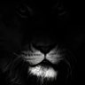 Profilbild von Dean_14