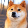 破格🍊🇯🇵 profil fotoğrafı
