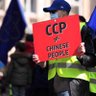 CCP=/=CHINESE's profile picture