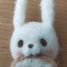 Say☆🍚 profil fotoğrafı