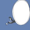 めい profil fotoğrafı