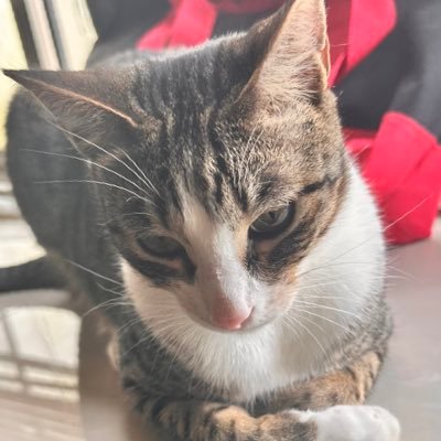 TrailShieldDood's profile picture