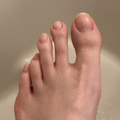 ashiyubiaice's profile picture