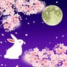 桜's profile picture