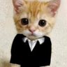 เหมียวจิ๋ว สิงหเมฆา's profile picture