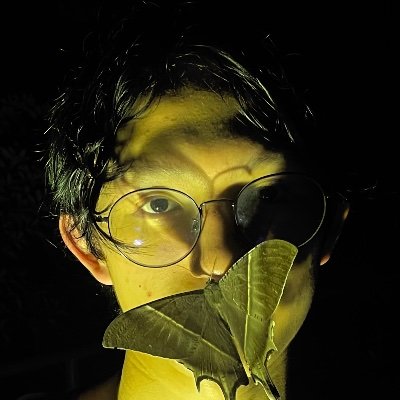 shloop 𓆤's profile picture