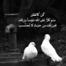 Eng Alaa profil fotoğrafı