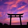 貯蓄から投資's profile picture