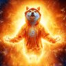 0xBraggs's profile picture