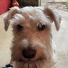 Profilbild von Wolfgang