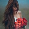 ديما's profile picture