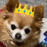 しの's profile picture