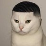 Jova profil fotoğrafı