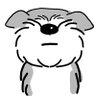 Profilbild von こさ🐶🐱🐥⚾