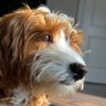 Profilbild von Nathan