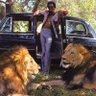Profilbild von David Ruffin