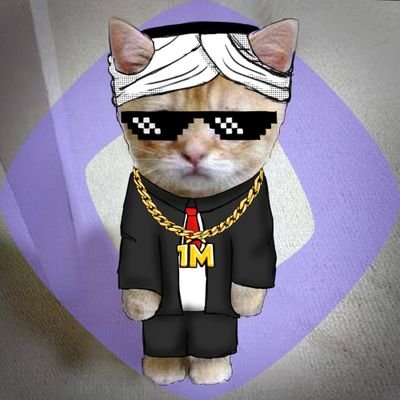 Heskkk *mainnet arc*'s profile picture