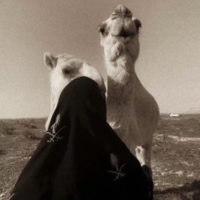 Nu__3w's profile picture
