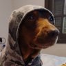 Profilbild von n3