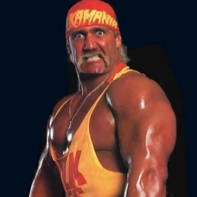 Hulk Hogan's profile picture