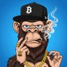 RobbinxApe 的头像
